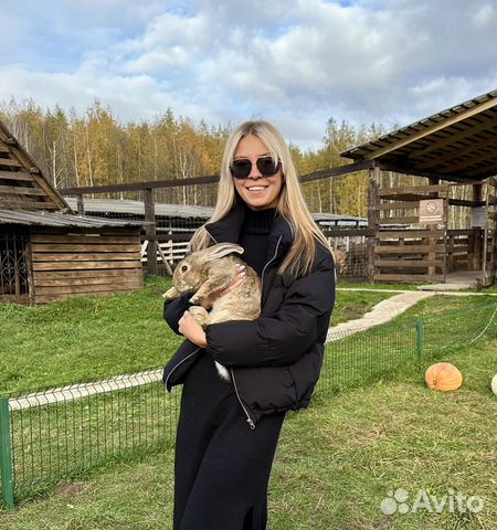 Грумер. Стрижка собак, кошек, экспресс линька