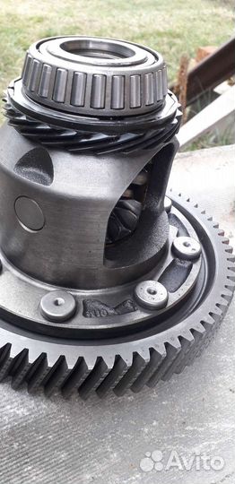 Дифференциал 01m