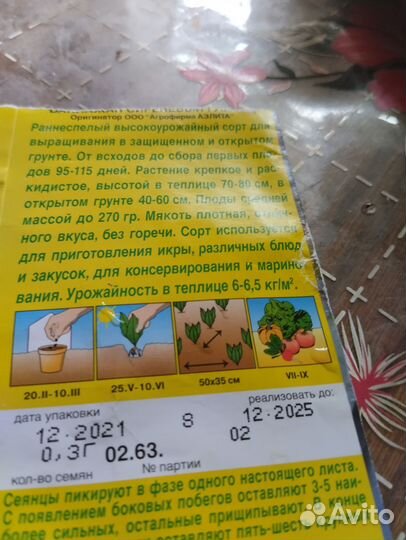Рассада перца и баклажан