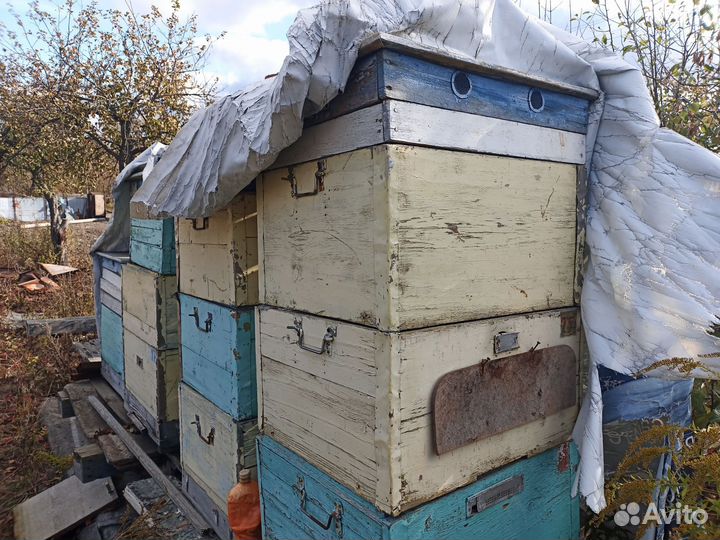 Ульи для пчел