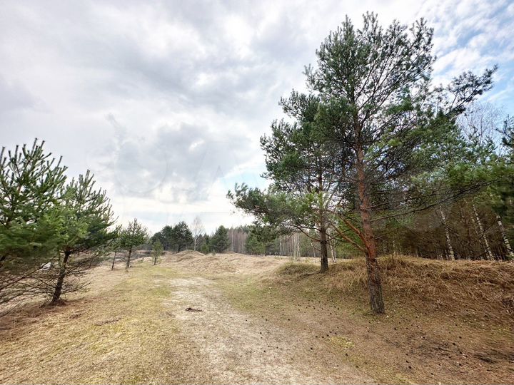 Участок 1,8 га (СНТ, ДНП)