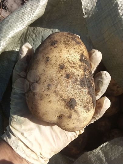 Дача 45 м² на участке 8 сот.