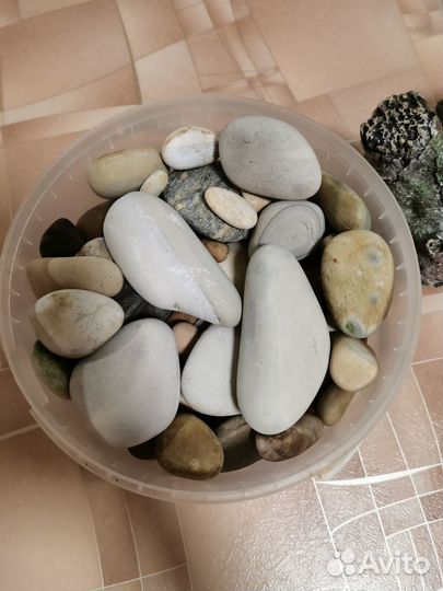 Аквариумный декор, камни и искусственные растения