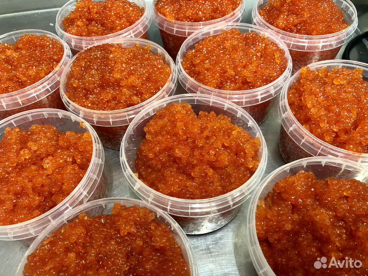 Икра Кеты 2023