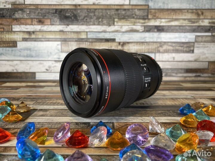 Canon EF 100mm f/2.8L IS USM+Yongnuo YN24ex TTL