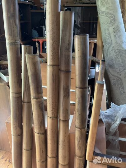 Ствол бамбука