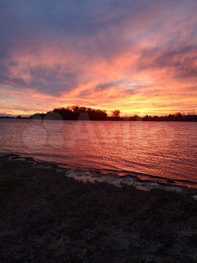 Участок 50 сот. (ИЖС)