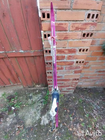 Беговые лыжи