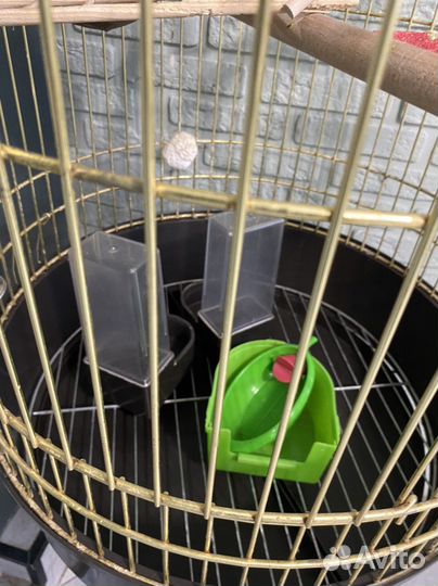 Клетка для попугая