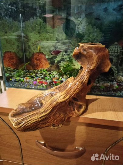 Коряга в аквариум