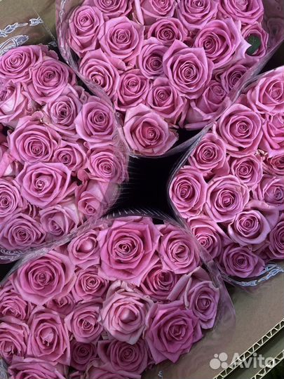 Букет из роз