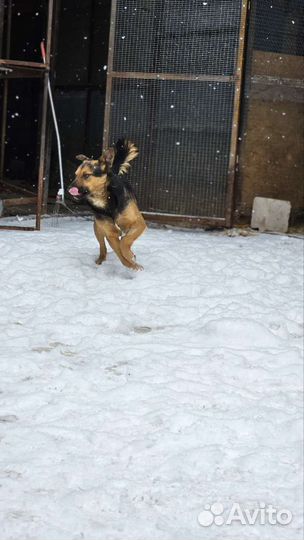 Кай ищет дом