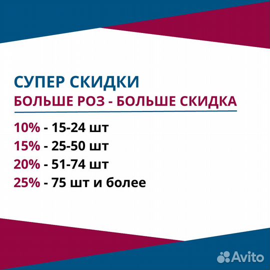 Букет разноцветных роз, Эквадор, 50см 41 шт
