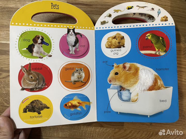 Детская книга Touch and lift на английском языке