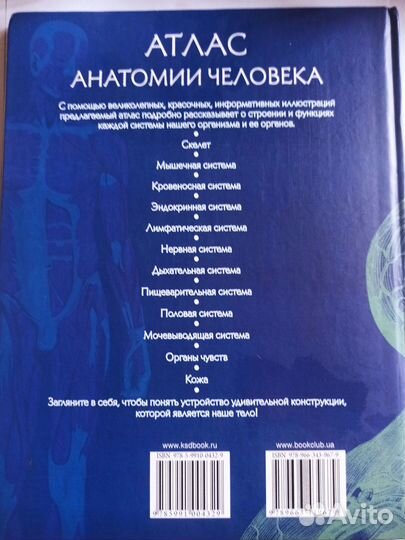 Атлас анатомии человека