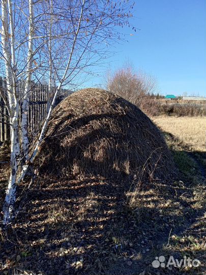 Сено стог, газон с копной
