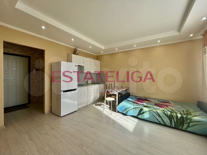 Квартира-студия, 24,5 м², 12/17 эт.