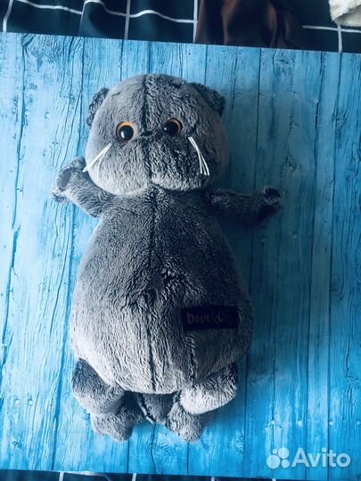 Basik красивый котик серый. Оригинал