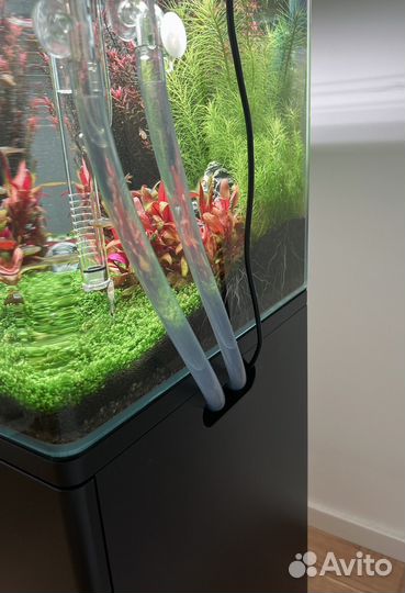 Готовый аквариум Dennerle 70 литров с тумбой