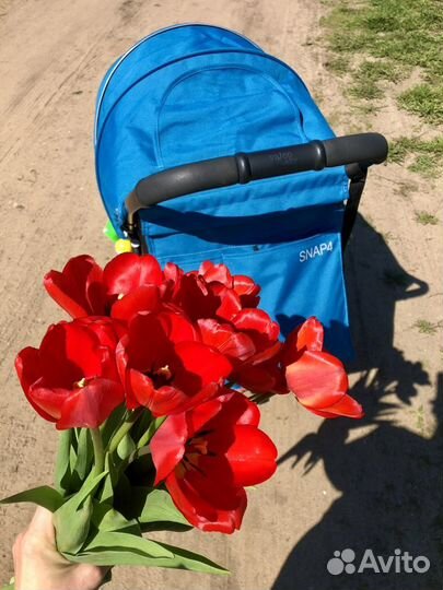 Коляска прогулочная Valco baby