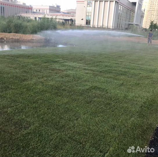 Газон, подготовка под газон под ключ