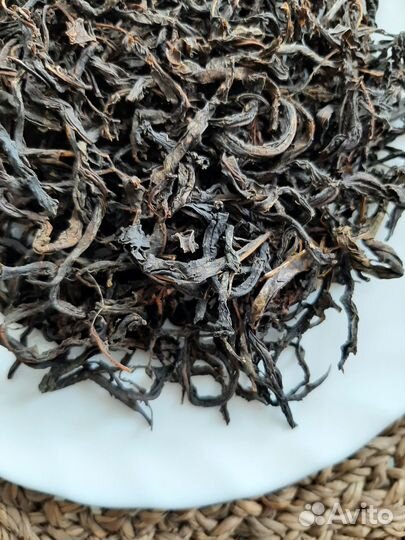 Иван-чай крупнолистовой 2023 год