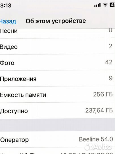 iPhone X, 256 ГБ