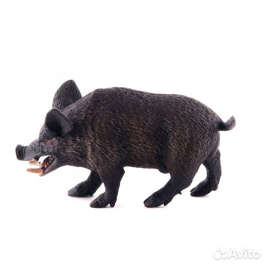 Кабан, M 88363b