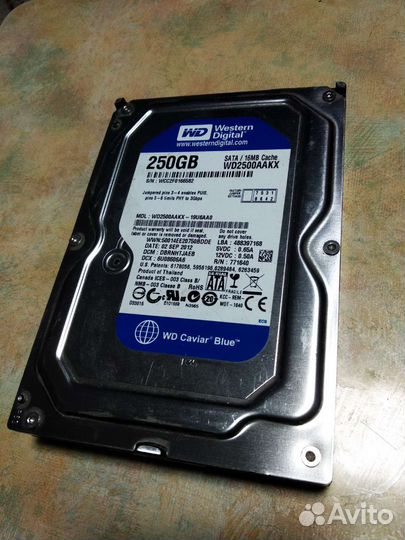 Жесткий диск для пк