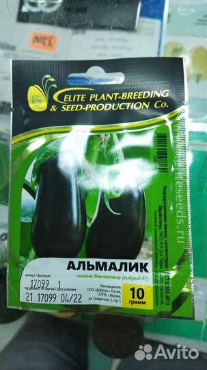 Семена баклажан