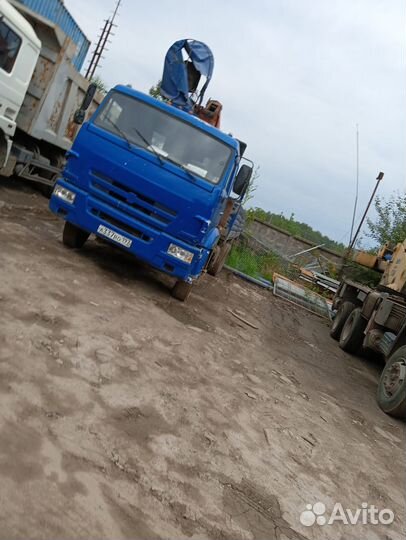 КамАЗ 65117-62 с КМУ, 2010