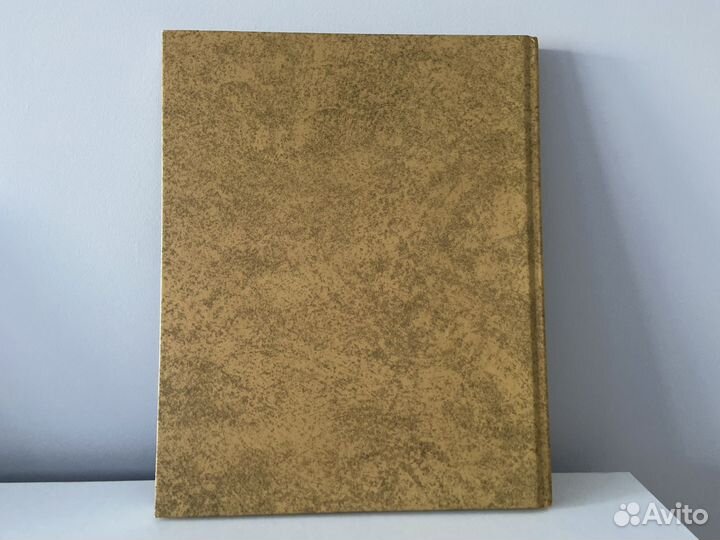 Книга энциклопедия. Викинги:Набеги с севера Терра