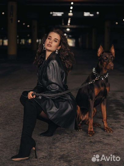 Фотосессия с доберманом