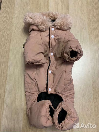 Вещи для собак