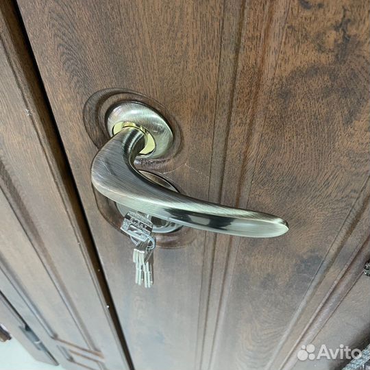 Входная дверь «Лацио» с художественной ковкой