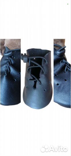 Обувь для крупных собак