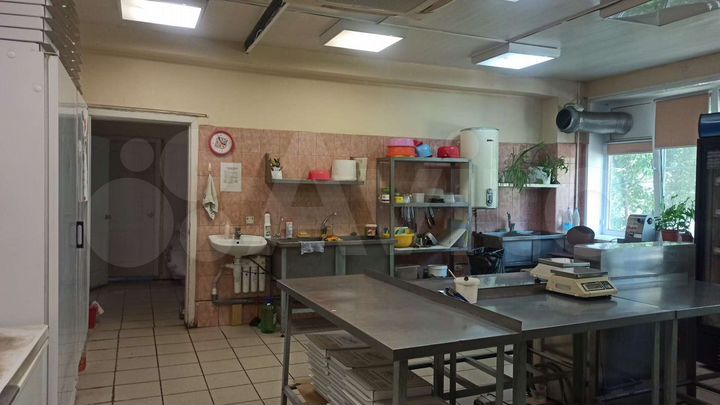Пищевое производство, 90 м²