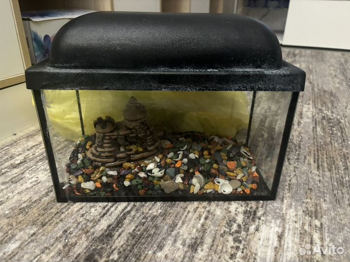 Аквариум