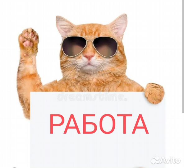 Сборщик заказов вахта