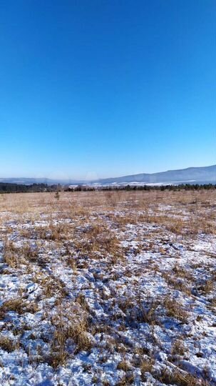 Участок 5,5 га (СНТ, ДНП)