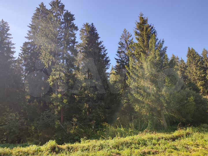 Участок 6,7 сот. (ИЖС)