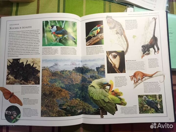 Иллюстрированный атлас 