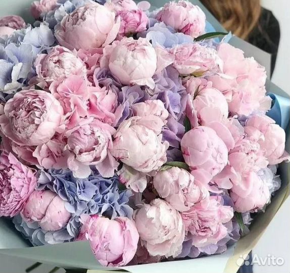 Пионы Букет