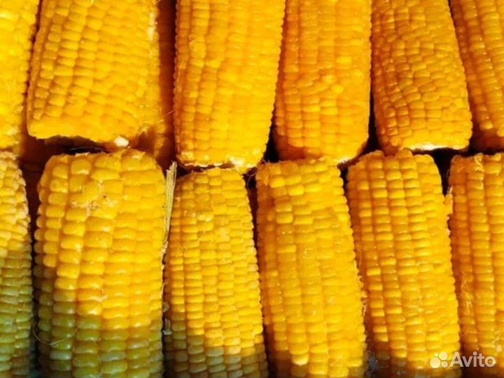 Кукуруза замороженная