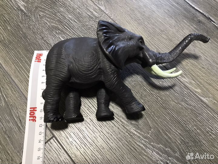 Слон Бесплатно