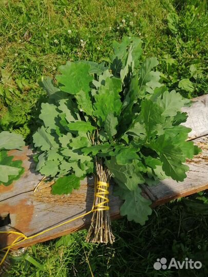 Продам веники