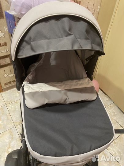 Коляска inglesina sofia шасси