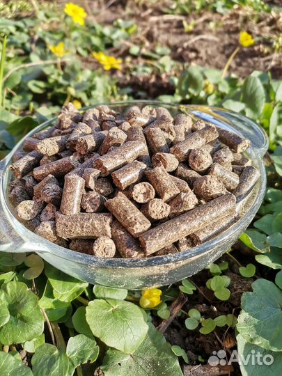 Жмых, Шрот подсолнечный