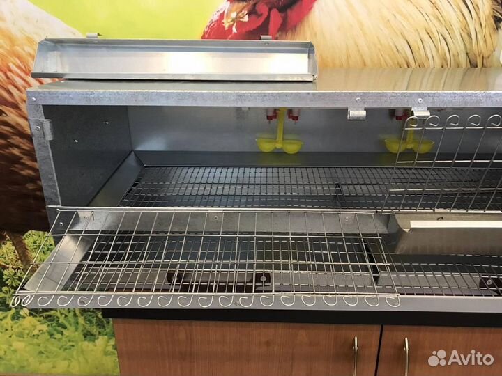 Клетки для перепелов (на 15, 30, 40 голов)