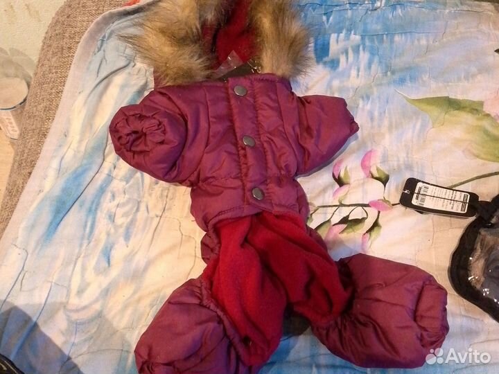 Одежда для маленьких собак